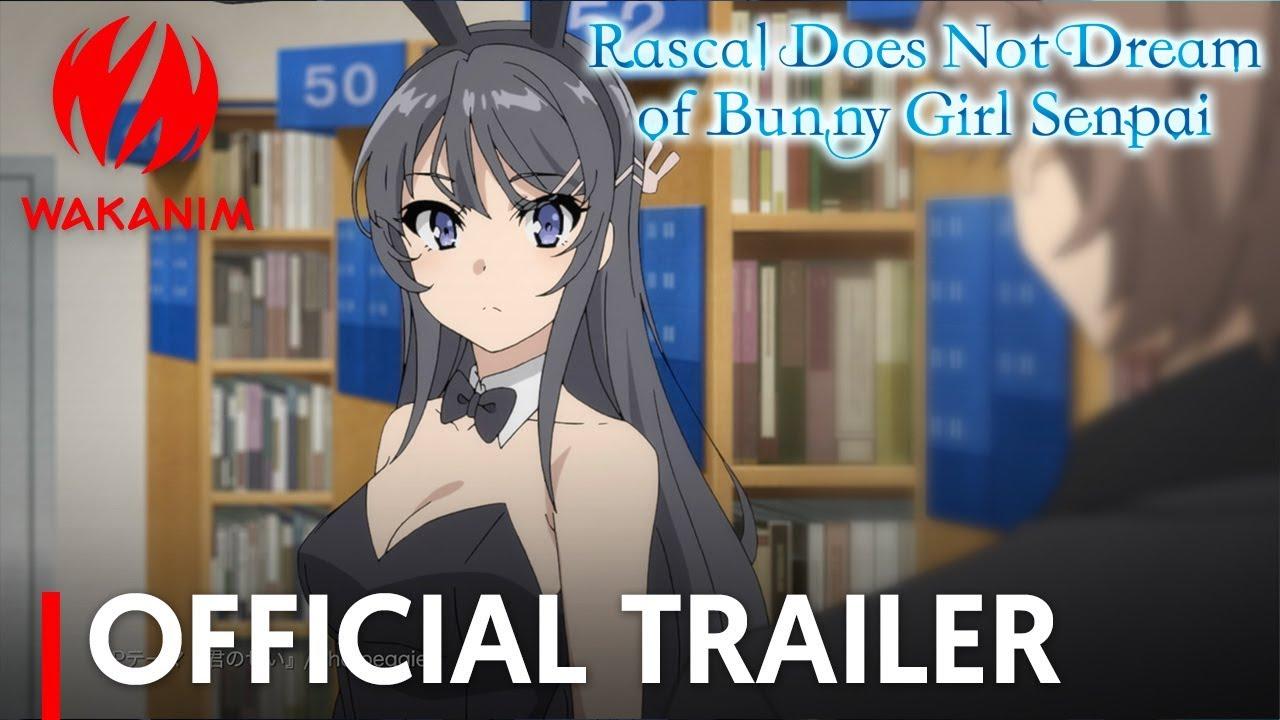 Rascal does not dream of bunny. Rascal does not Dream of Bunny girl Senpai. Rascal does not Dream of Bunny girl Senpai книга.